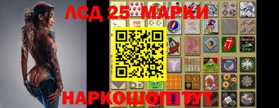 прущие грибы Славгород
