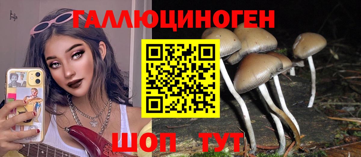 Галлюциногенные грибы Cubensis Первоуральск
